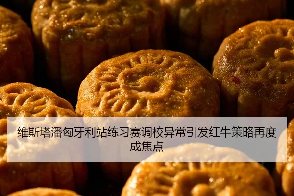 维斯塔潘匈牙利站练习赛调校异常引发红牛策略再度成焦点