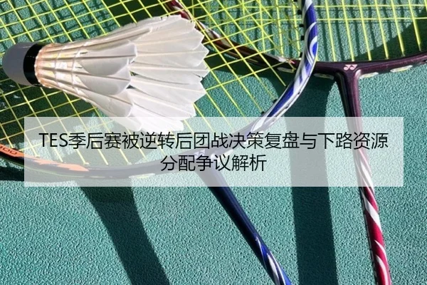 TES季后赛被逆转后团战决策复盘与下路资源分配争议解析